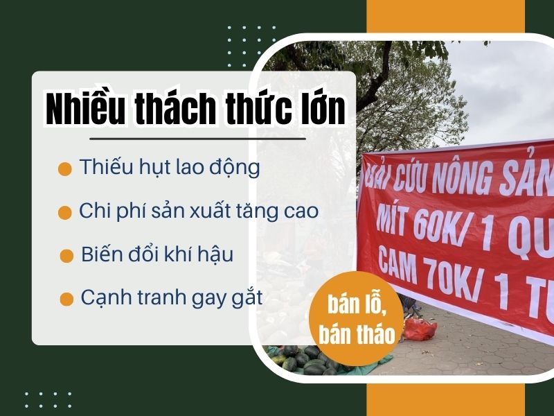Thách thức mà nhà nông đang phải đối mặt