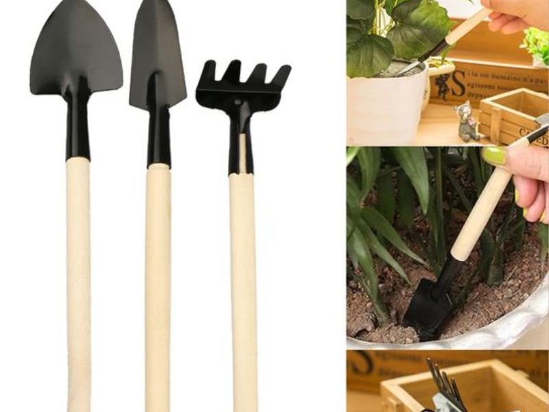 Trang trí sân vườn đón tết Quý Mão 2023