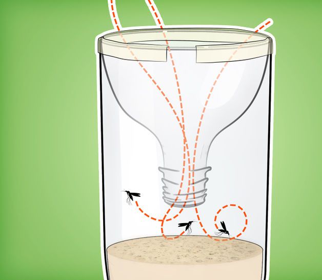 5 cách đơn giản để giữ cho ngôi nhà của bạn không có muỗi