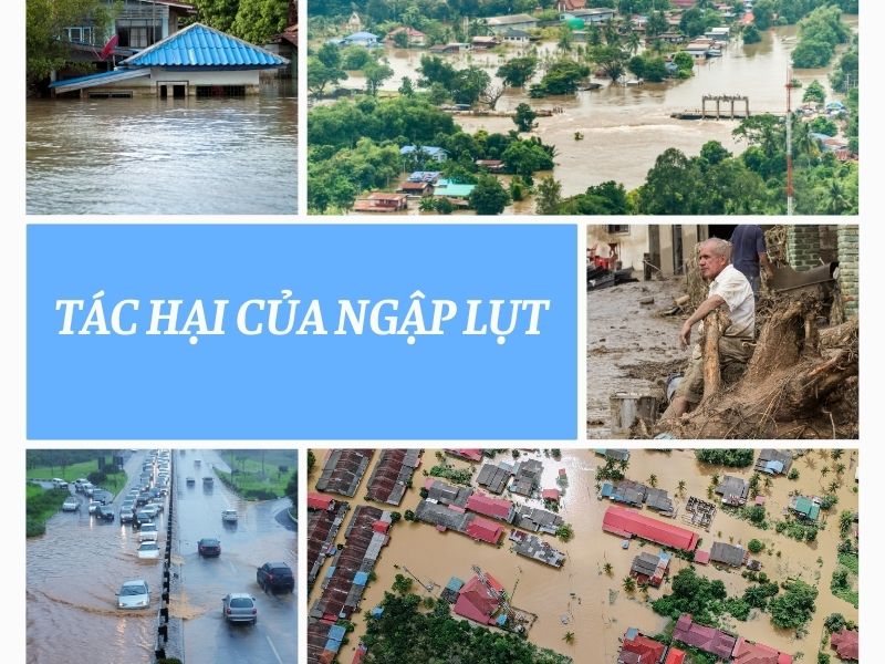Tác hại của ngập úng diễn ra hiện nay