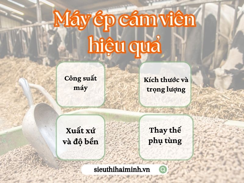 Các yếu tố để làm nên một chiếc máy ép cám viên hiệu quả