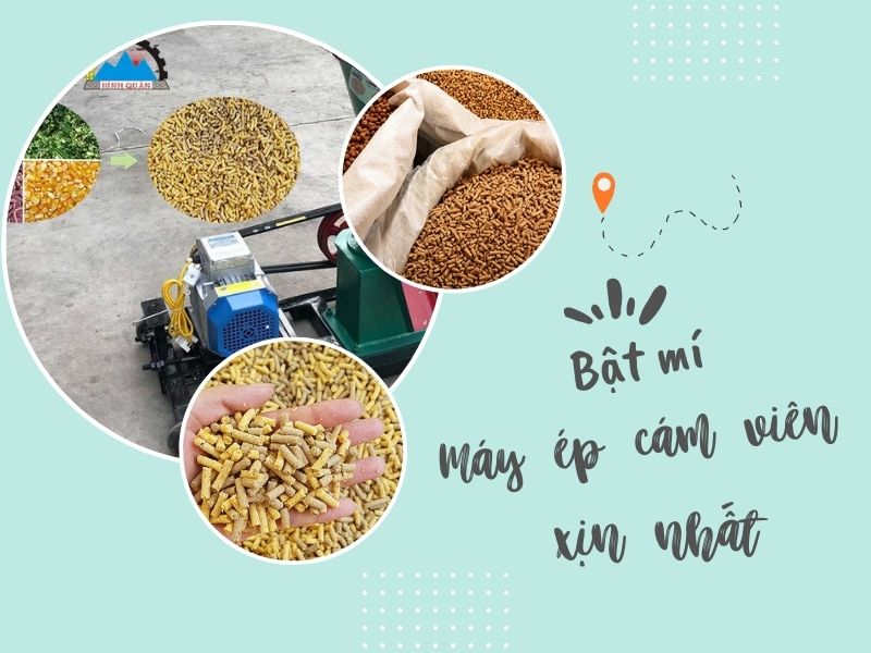 Bật mí các dòng máy ép cám viên xịn nhất hiện nay!