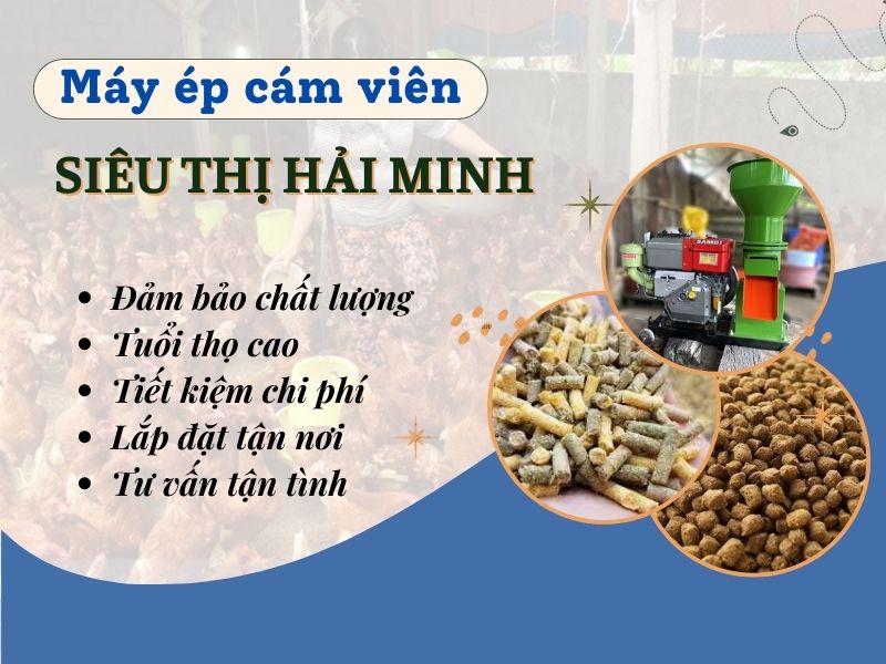 Siêu thị Hải Minh - cơ sở cung cấp máy ép cám uy tín