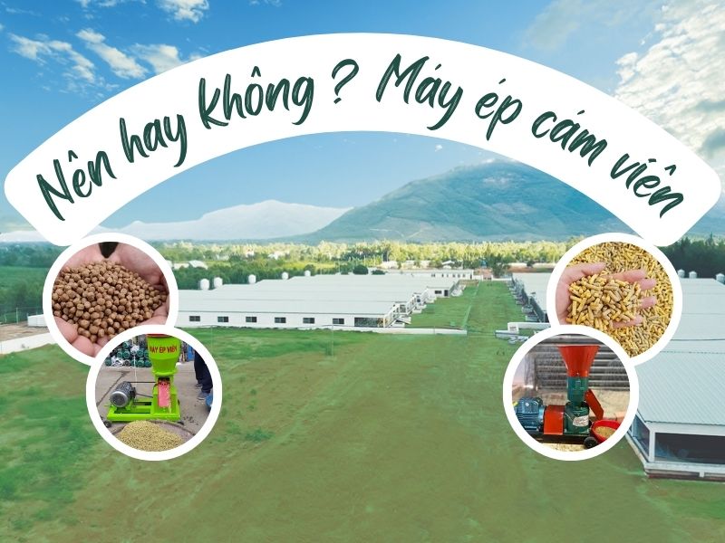 Đầu tư máy ép cám viên ? Nên hay không?