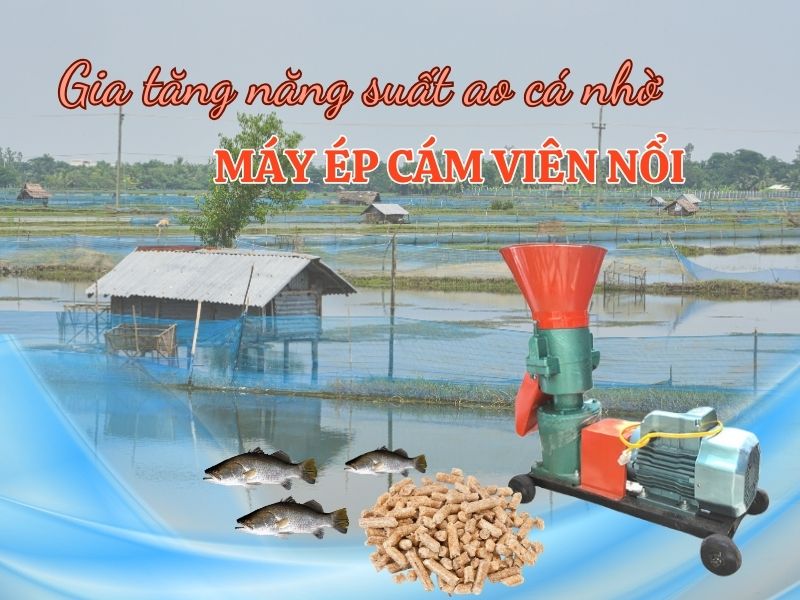 Gia tăng năng suất ao cá nhờ máy ép cám viên nổi