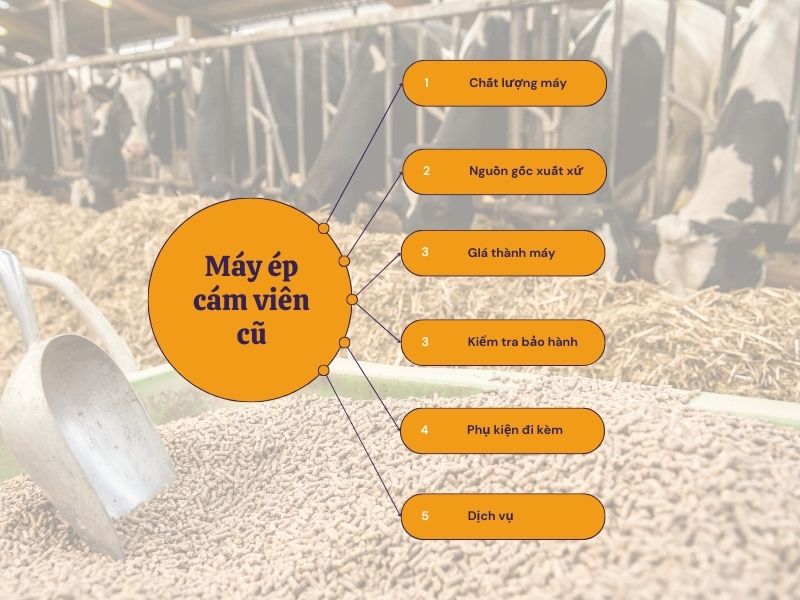 Không ai nhắc bạn điều này khi bạn mua máy ép cám viên cũ đâu!