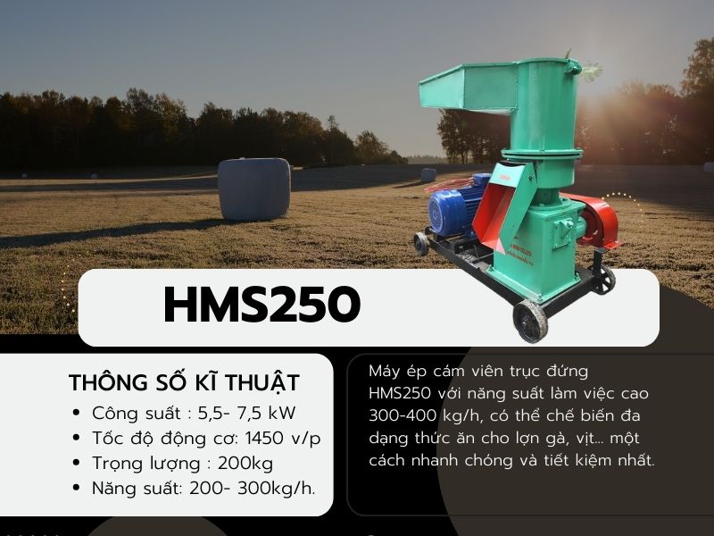 Máy ép cám viên công nghiệp trục đứng HMS250
