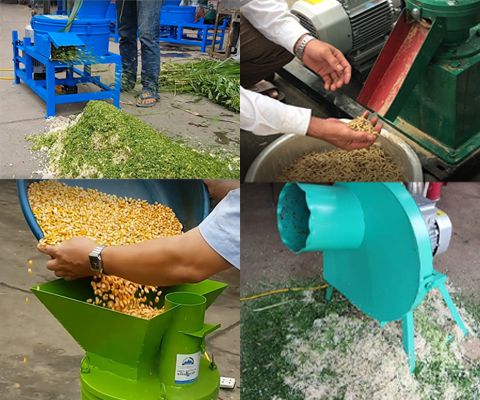 Máy Chế Biến Thức Ăn Chăn Nuôi cho đa dạng thành phẩm