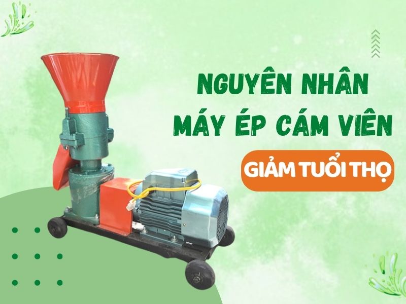 Nguyên nhân khiến máy ép cám viên giảm tuổi thọ?