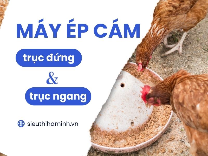 So sánh máy ép cám viên trục ngang và trục đứng
