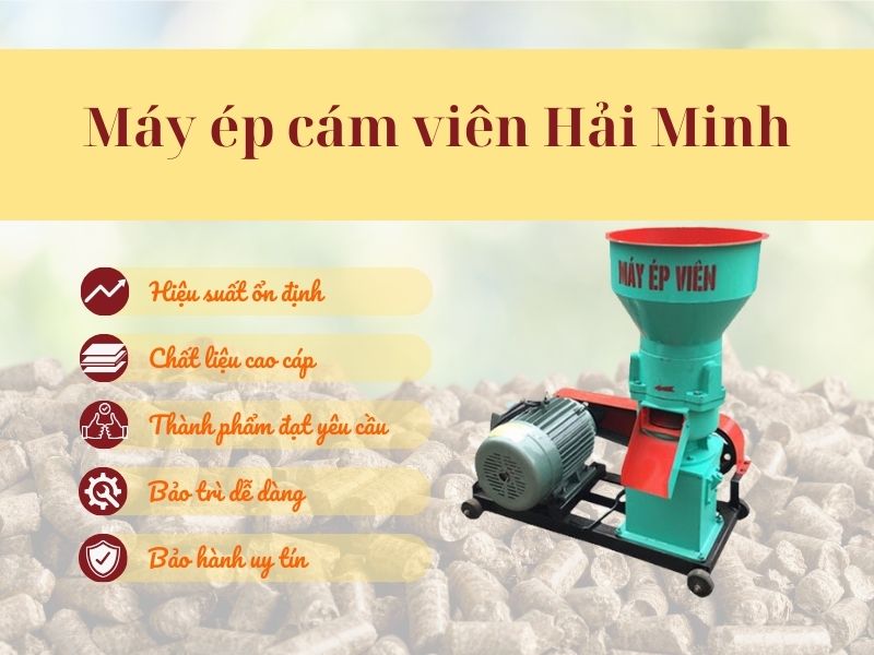 Sự thật mà bạn không ngờ tới khi mua máy ép cám viên tại siêu thị Hải Minh