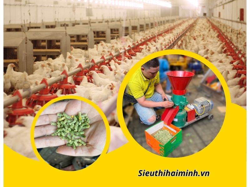 Test máy ép cám viên HM-150 cho khách