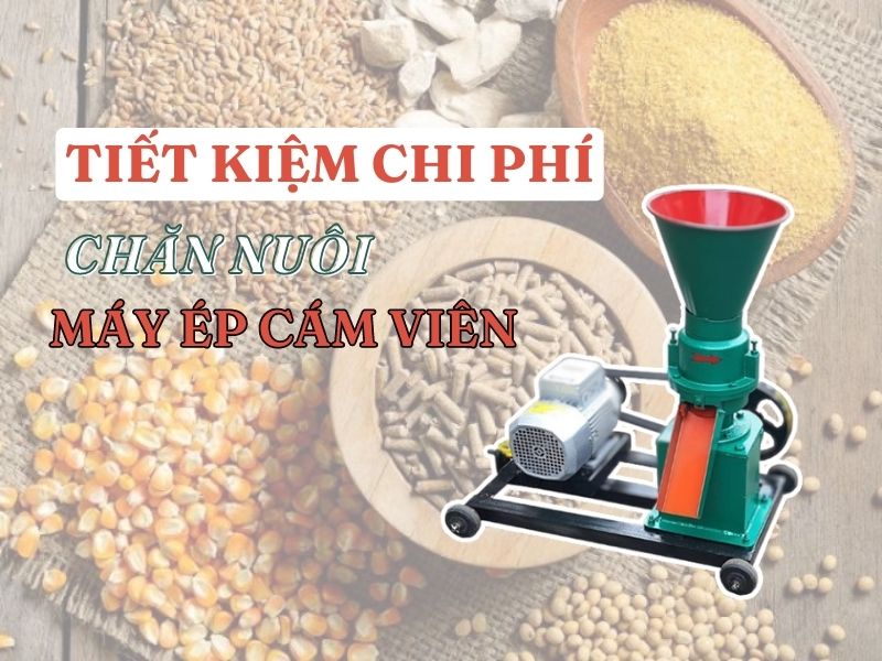 Tiết kiệm chi phí chăn nuôi nhờ máy ép cám viên