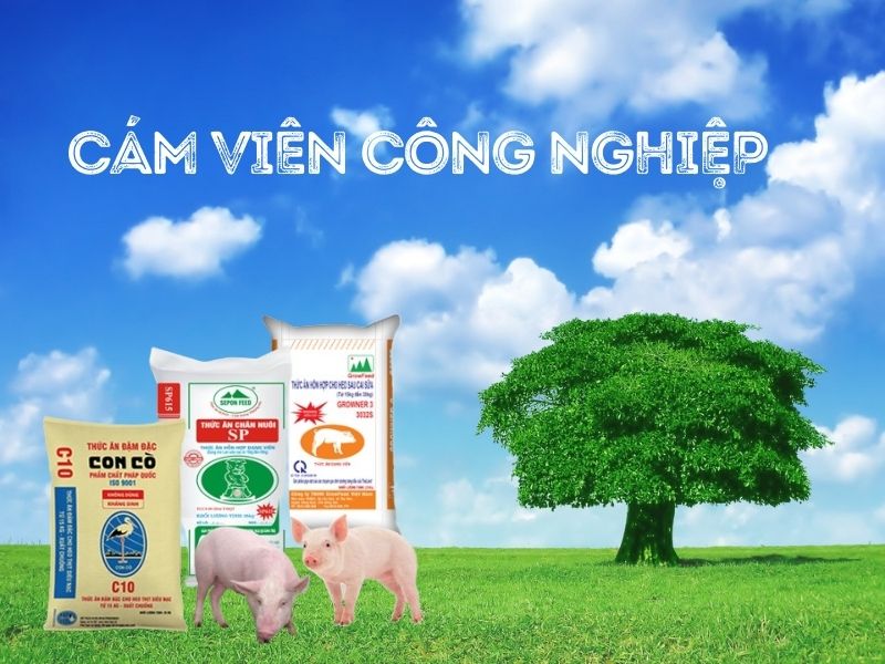 Tiết kiệm chi phí chăn nuôi nhờ máy ép cám viên