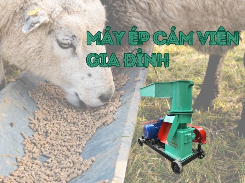 Tiết kiệm chi phí chăn nuôi nhờ máy ép cám viên
