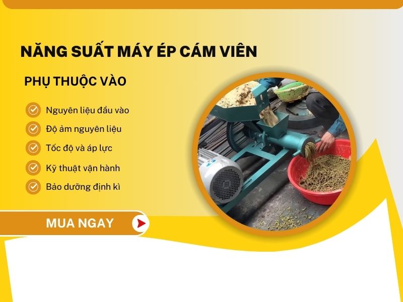 Yếu tố nào ảnh hưởng đến năng suất của máy ép cám viên?