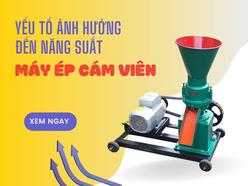 Yếu tố nào ảnh hưởng đến năng suất của máy ép cám viên?