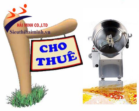 thuê máy nghiền củ nghệ tươi