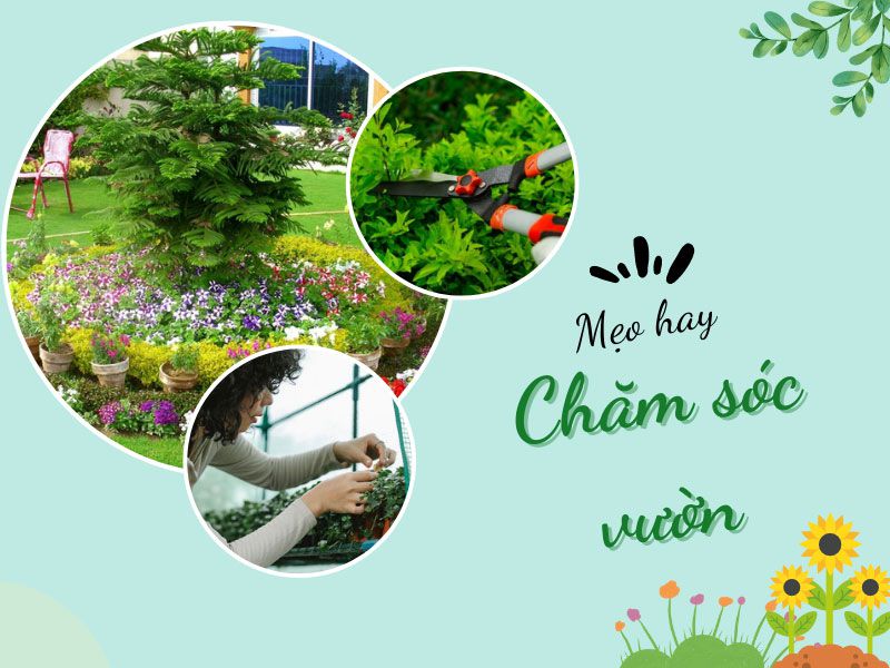 sân vườn XANH - ĐẸP