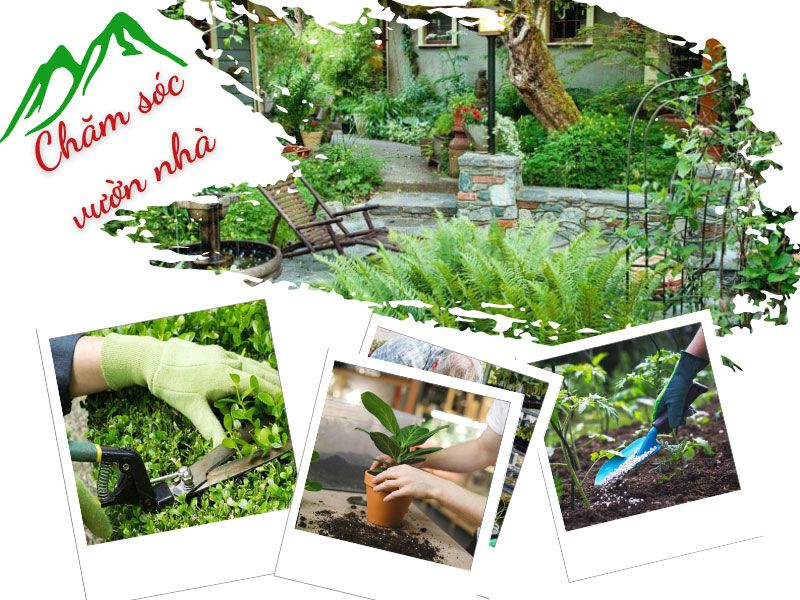 sân vườn XANH - ĐẸP