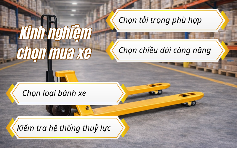 Xe nâng tay thấp giải pháp đóng gói hàng hóa hiệu quả kho bãi.
